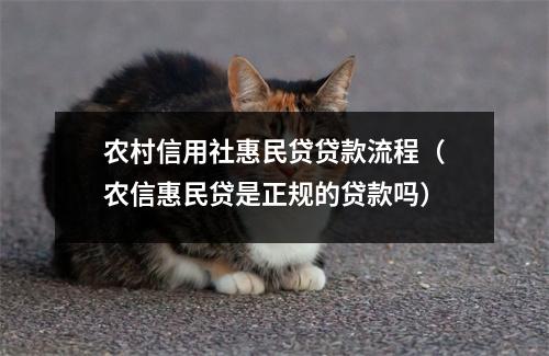 农村信用社惠民贷贷款流程（农信惠民贷是正规的贷款吗）