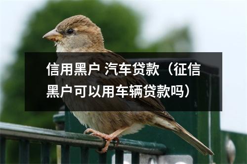 信用黑户 汽车贷款（征信黑户可以用车辆贷款吗）