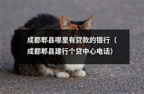 成都郫县哪里有贷款的银行（成都郫县建行个贷中心电话）