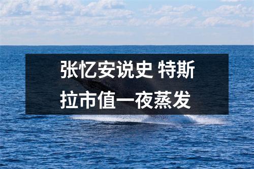 张忆安说史 特斯拉市值一夜蒸发