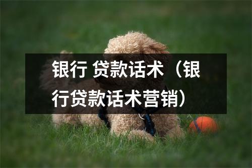 银行 贷款话术（银行贷款话术营销）