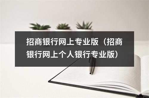 招商银行网上专业版（招商银行网上个人银行专业版）