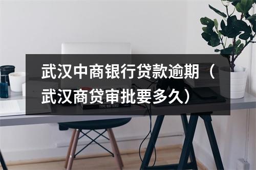 武汉中商银行贷款逾期（武汉商贷审批要多久）
