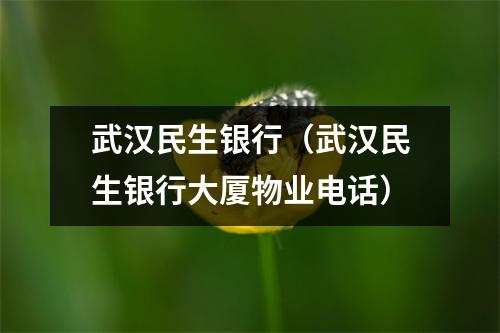 武汉民生银行（武汉民生银行大厦物业电话）