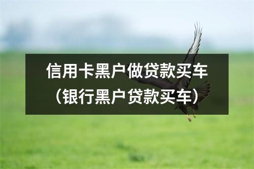 信用卡黑户做贷款买车（银行黑户贷款买车）
