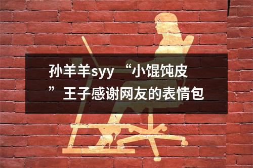 孙羊羊syy “小馄饨皮”王子感谢网友的表情包