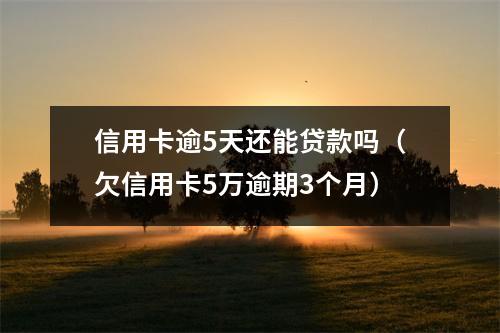 信用卡逾5天还能贷款吗（欠信用卡5万逾期3个月）