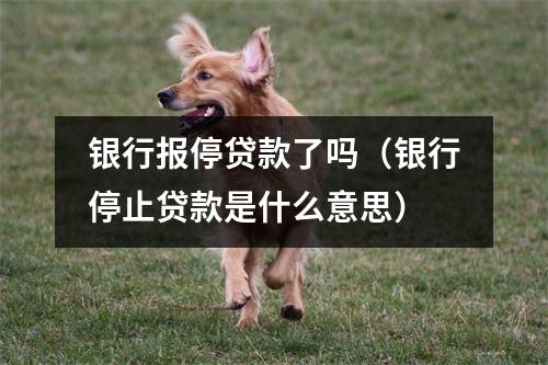 银行报停贷款了吗（银行停止贷款是什么意思）