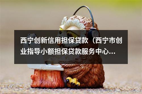 西宁创新信用担保贷款（西宁市创业指导小额担保贷款服务中心）
