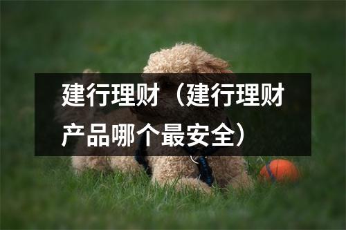 建行理财(建行理财产品哪个最安全)