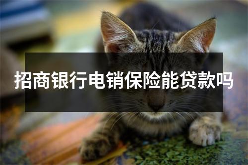 招商银行电销保险能贷款吗