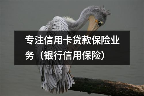 专注信用卡贷款保险业务(银行信用保险)