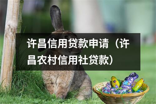 许昌信用贷款申请（许昌农村信用社贷款）