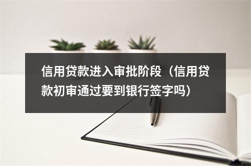信用贷款进入审批阶段（信用贷款初审通过要到银行签字吗）