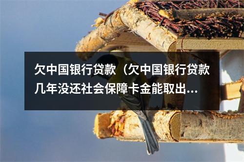 欠中国银行贷款（欠中国银行贷款几年没还社会保障卡金能取出来?）