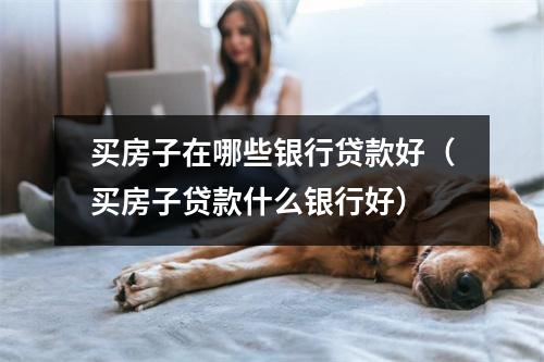 买房子在哪些银行贷款好（买房子贷款什么银行好）