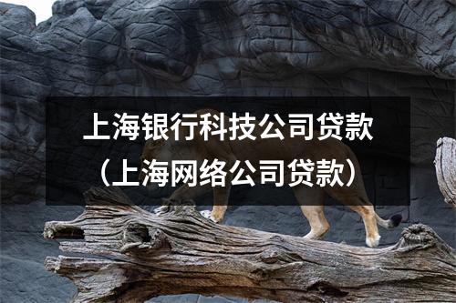 上海银行科技公司贷款（上海网络公司贷款）