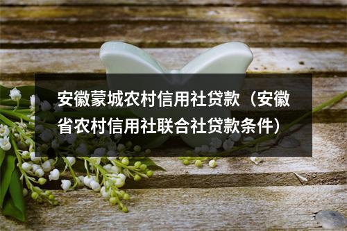 安徽蒙城农村信用社贷款（安徽省农村信用社联合社贷款条件）
