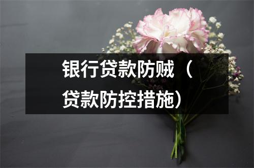 银行贷款防贼（贷款防控措施）