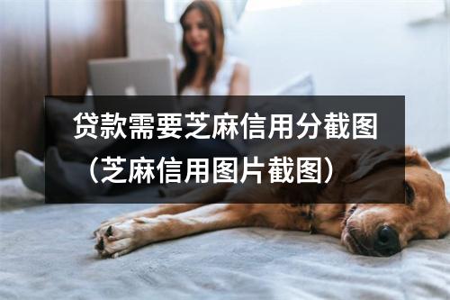 贷款需要芝麻信用分截图（芝麻信用图片截图）