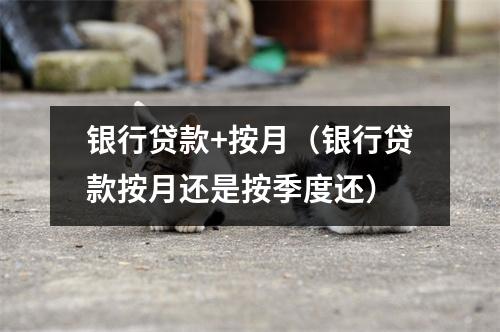 银行贷款+按月（银行贷款按月还是按季度还）