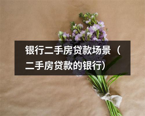 银行二手房贷款场景（二手房贷款的银行）