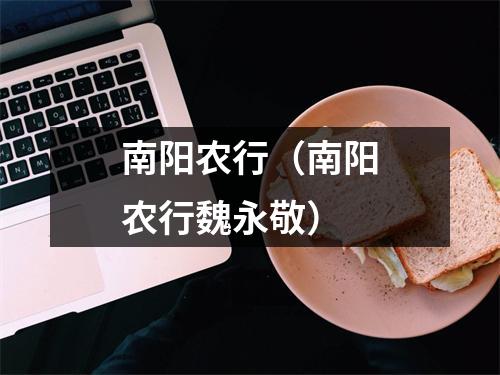 南阳农行（南阳农行魏永敬）