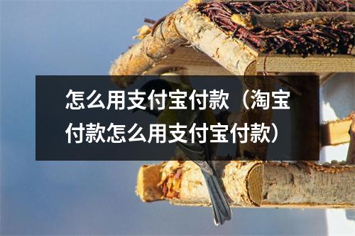 怎么用支付宝付款（淘宝付款怎么用支付宝付款）
