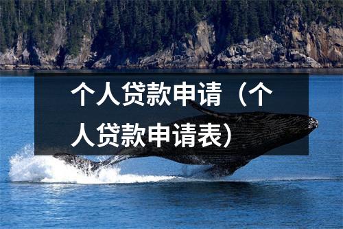 个人贷款申请（个人贷款申请表）