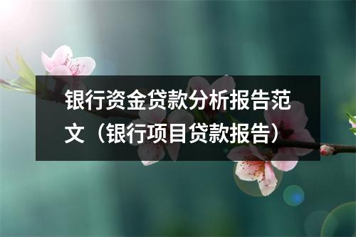 银行资金贷款分析报告范文（银行项目贷款报告）