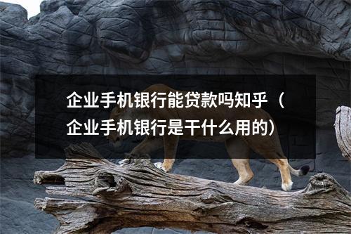 企业手机银行能贷款吗知乎（企业手机银行是干什么用的）