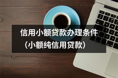 信用小额贷款办理条件（小额纯信用贷款）