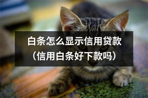 白条怎么显示信用贷款（信用白条好下款吗）