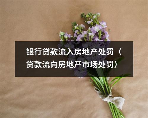 银行贷款流入房地产处罚（贷款流向房地产市场处罚）