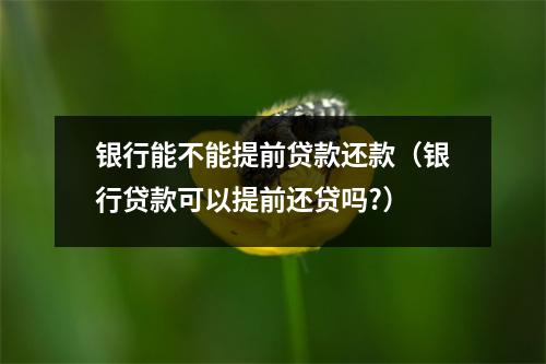 银行能不能提前贷款还款（银行贷款可以提前还贷吗?）