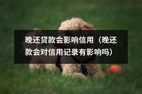 晚还贷款会影响信用（晚还款会对信用记录有影响吗）