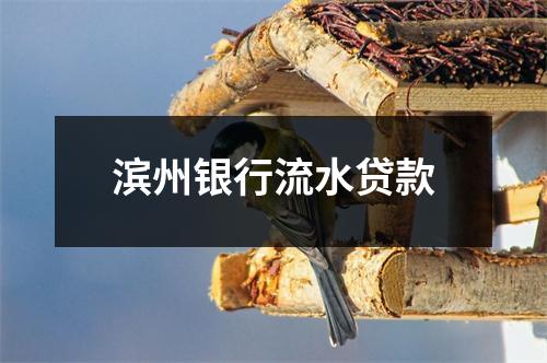 滨州银行流水贷款