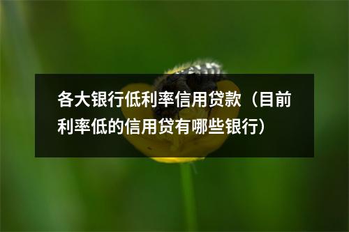 各大银行低利率信用贷款（目前利率低的信用贷有哪些银行）