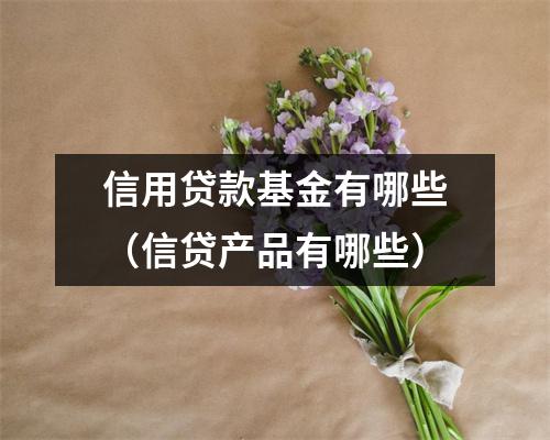 信用贷款基金有哪些(信贷产品有哪些)