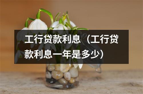 工行贷款利息（工行贷款利息一年是多少）
