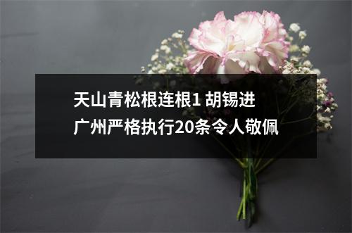 天山青松根连根1 胡锡进 广州严格执行20条令人敬佩