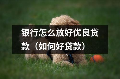 银行怎么放好优良贷款（如何好贷款）