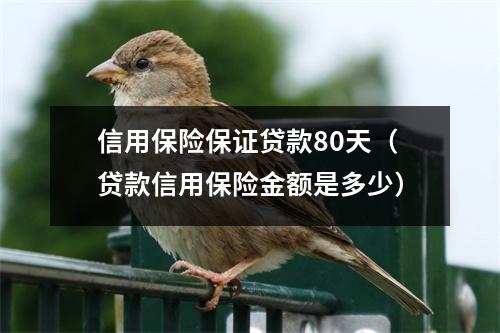 信用保险保证贷款80天（贷款信用保险金额是多少）