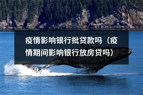 疫情影响银行批贷款吗（疫情期间影响银行放房贷吗）