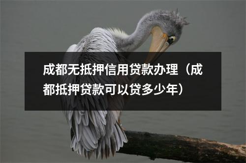 成都无抵押信用贷款办理（成都抵押贷款可以贷多少年）