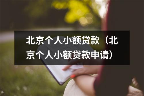 北京个人小额贷款（北京个人小额贷款申请）