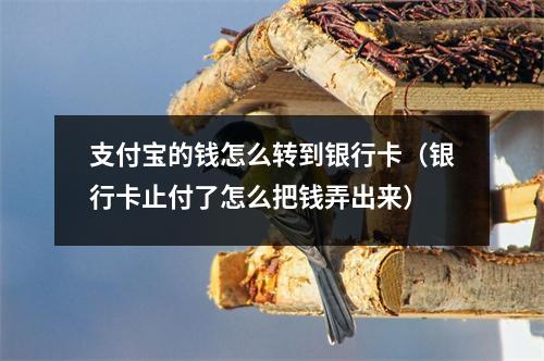 支付宝的钱怎么转到银行卡(银行卡止付了怎么把钱弄出来)