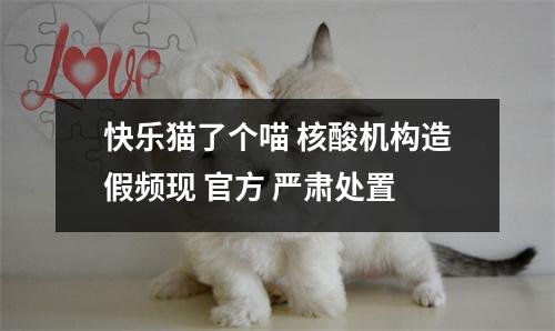 快乐猫了个喵 核酸机构造假频现 官方 严肃处置