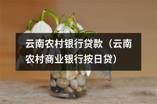 云南农村银行贷款(云南农村商业银行按日贷)