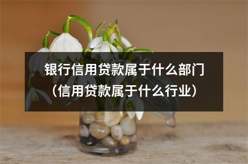 银行信用贷款属于什么部门（信用贷款属于什么行业）